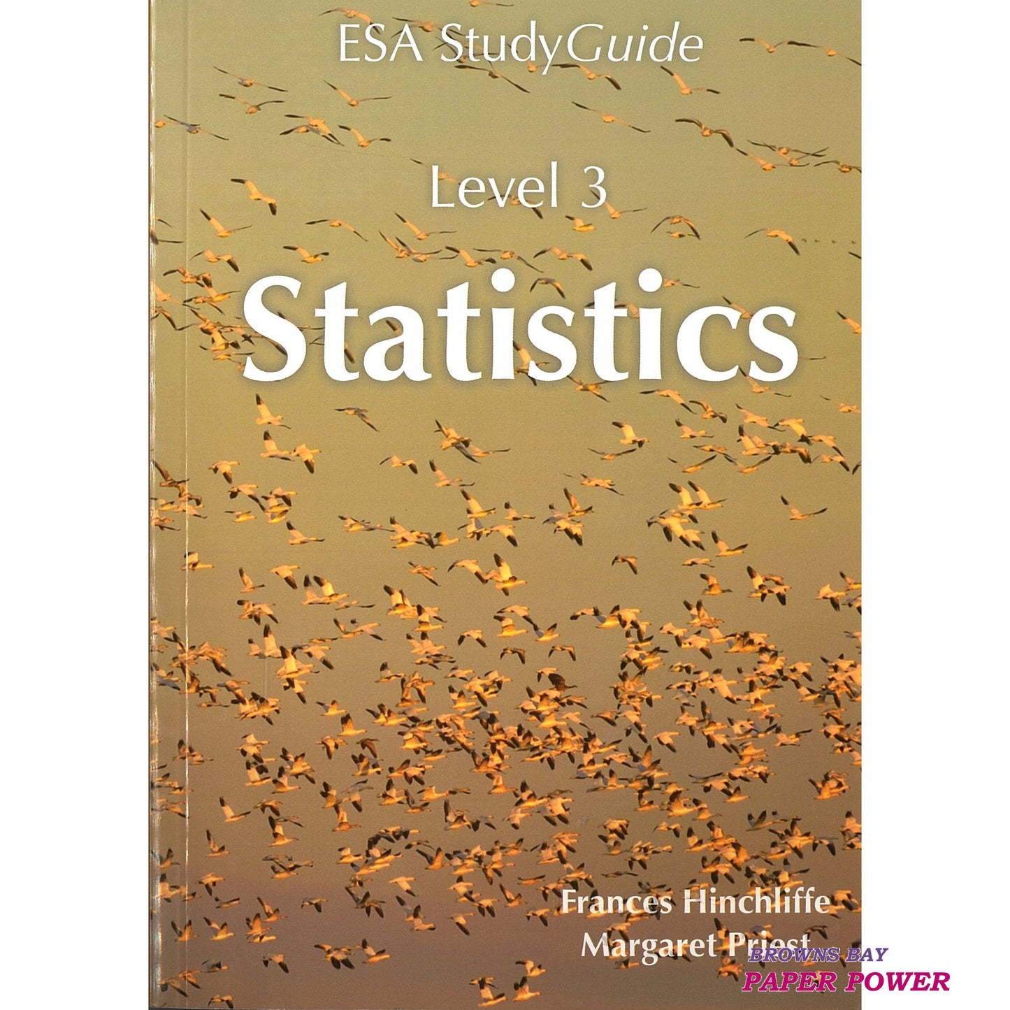 LearnWell ESA Study Guide Level 3 Statistics