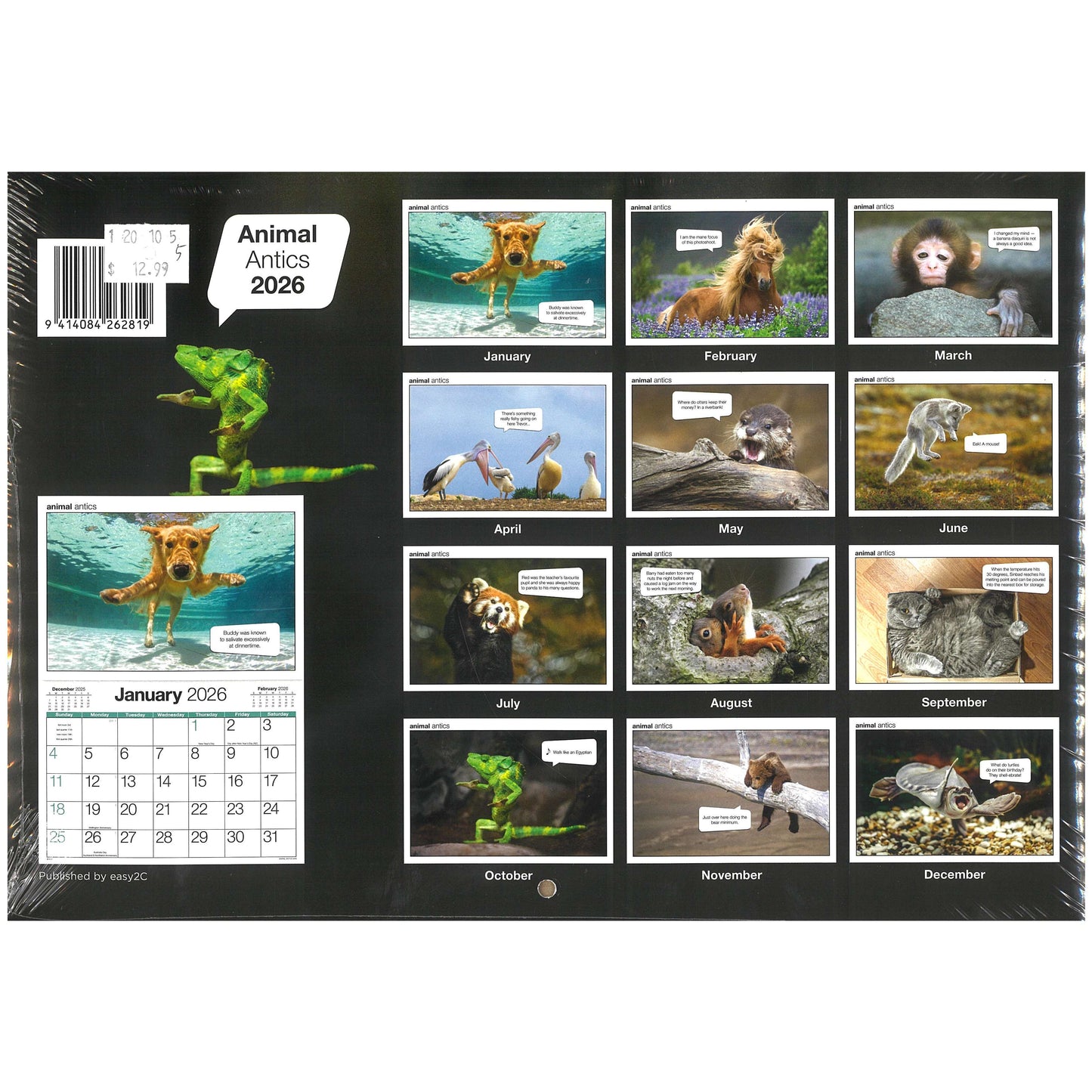 2026 Wall Calendar New Zealand Animal Antics