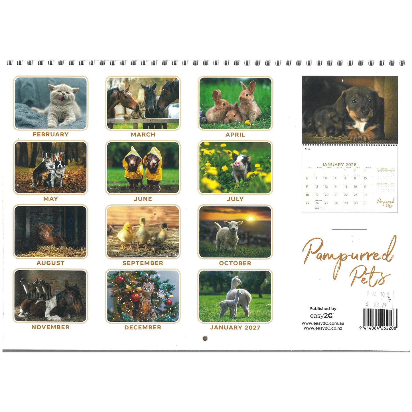 2026 Wall Calendar New Zealand Pampurred Pets