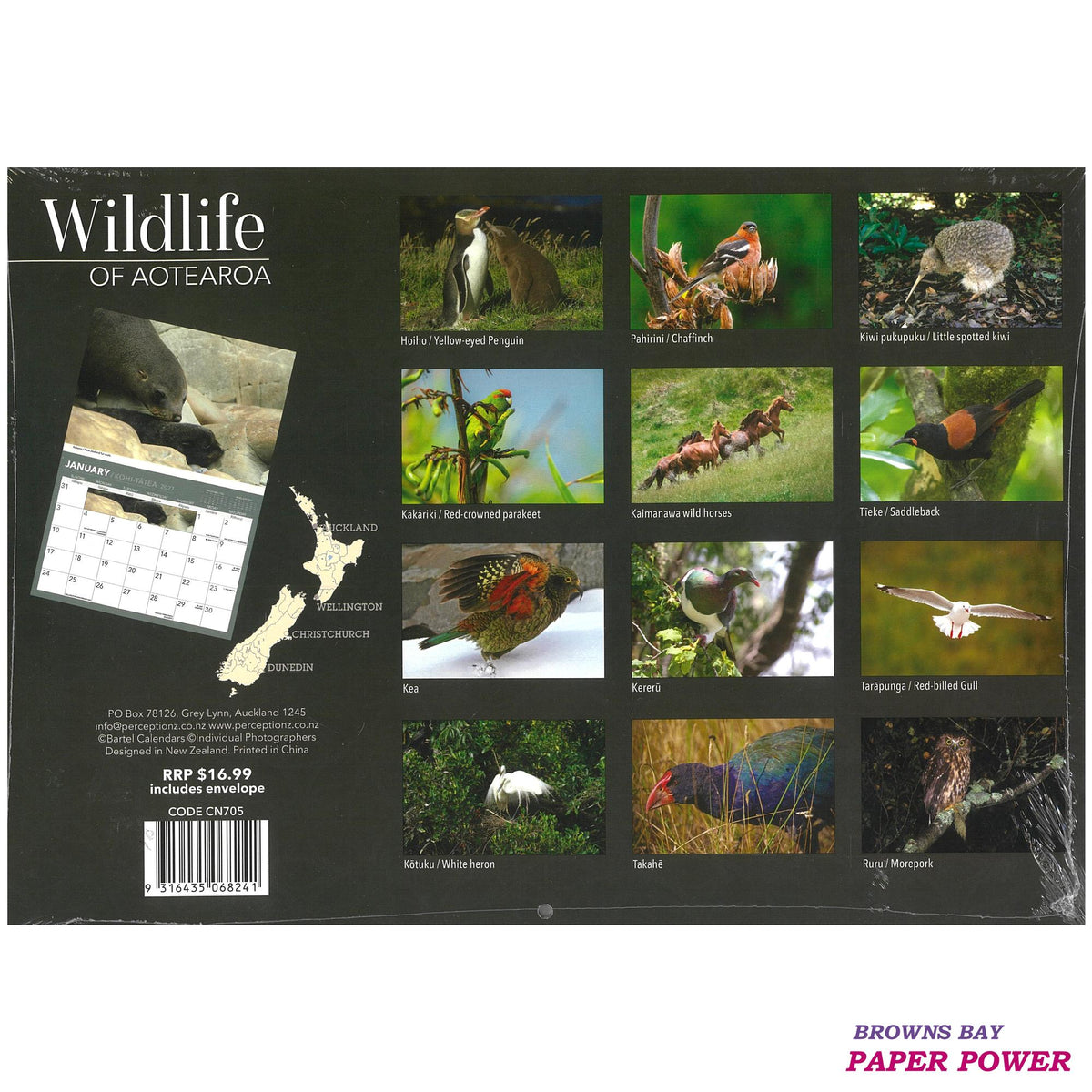 2027 Wall Calendar - Wildlife Of Aotearoa