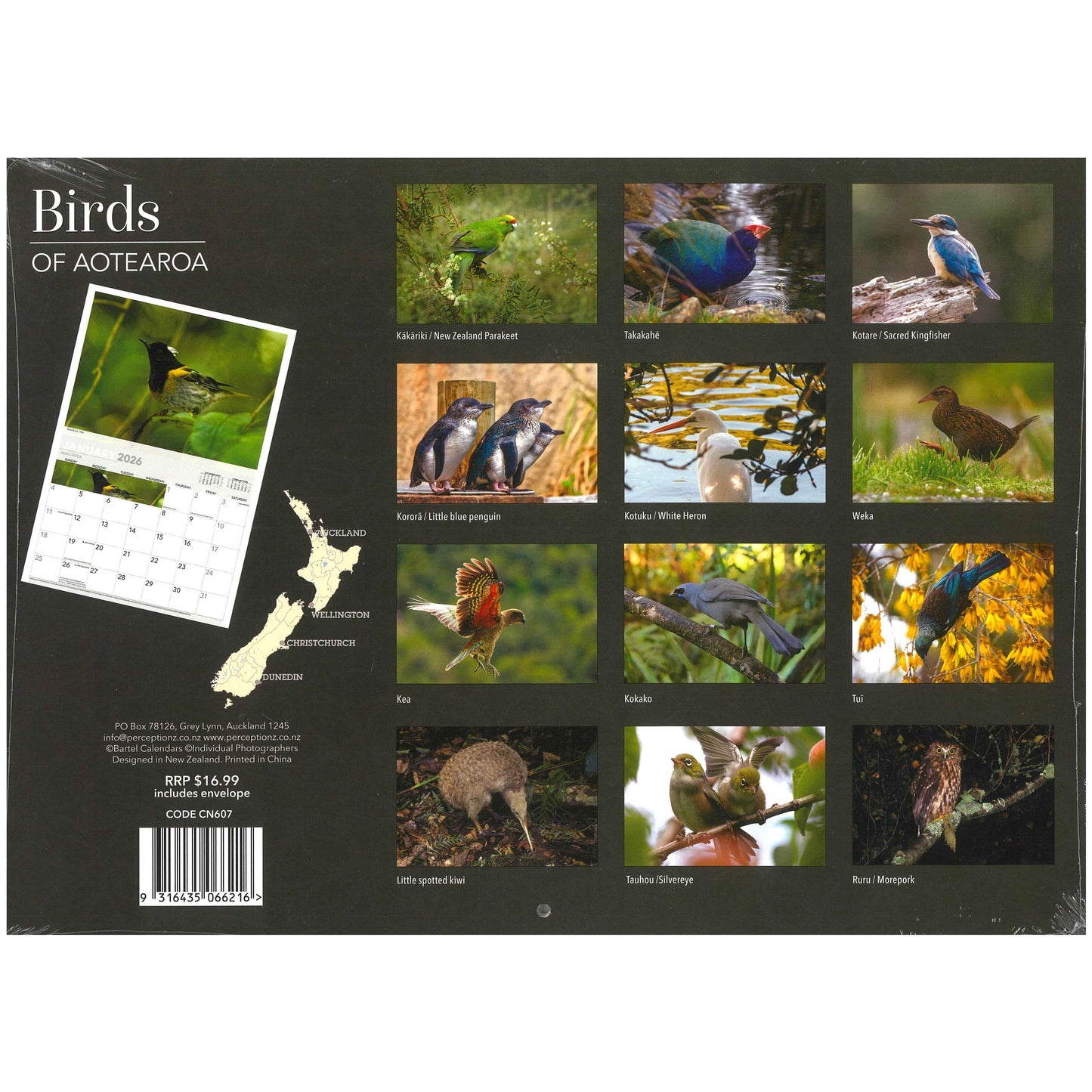 2026 Wall Calendar - Birds Of Aotearoa