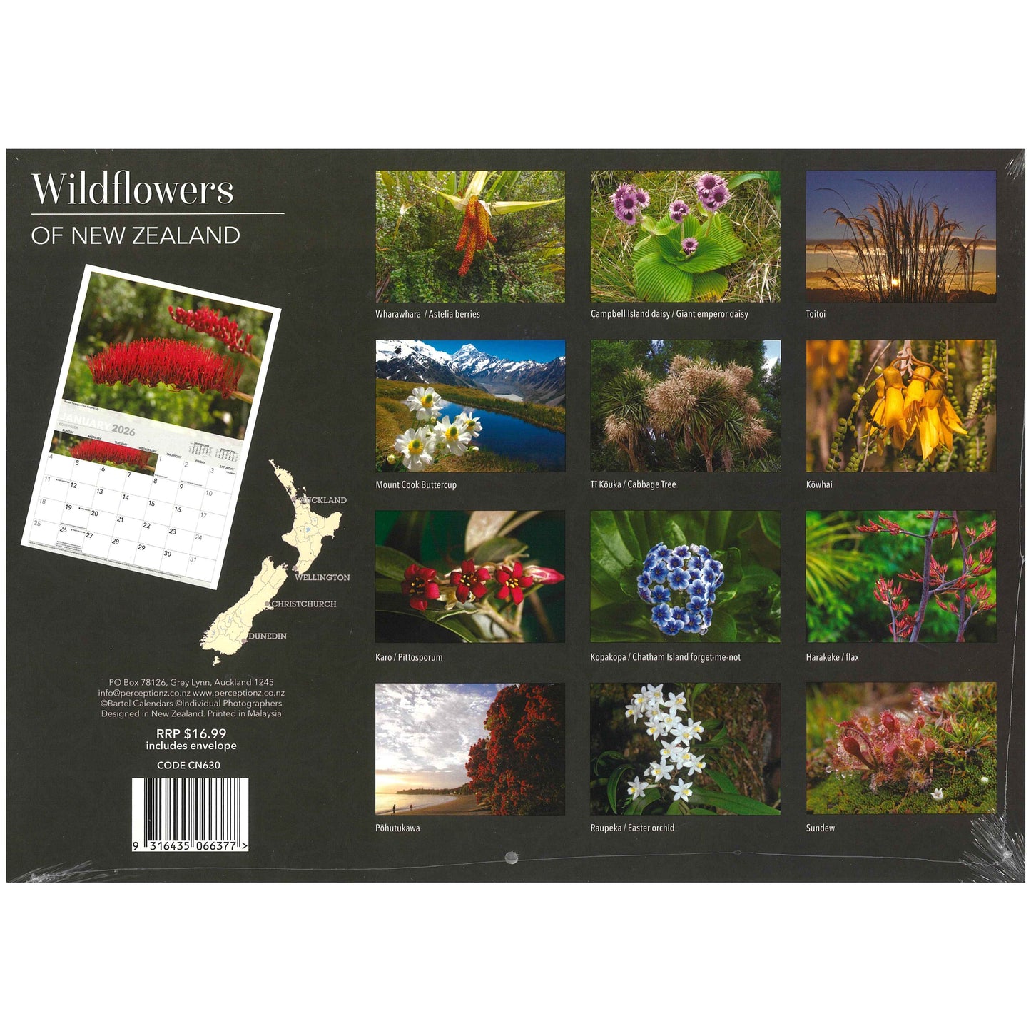 2026 Wall Calendar - Wildflowers Of New Zealand