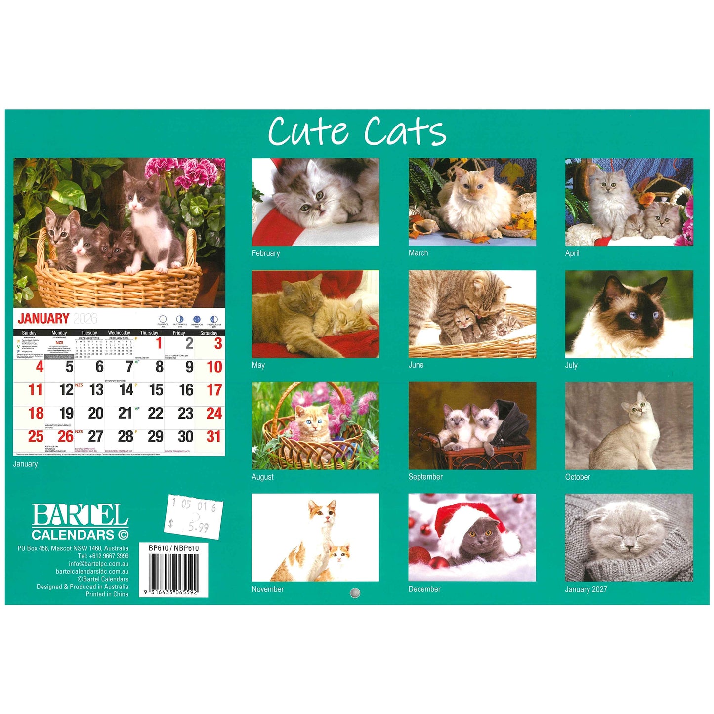 2026 Wall Calendar - Cute Cats