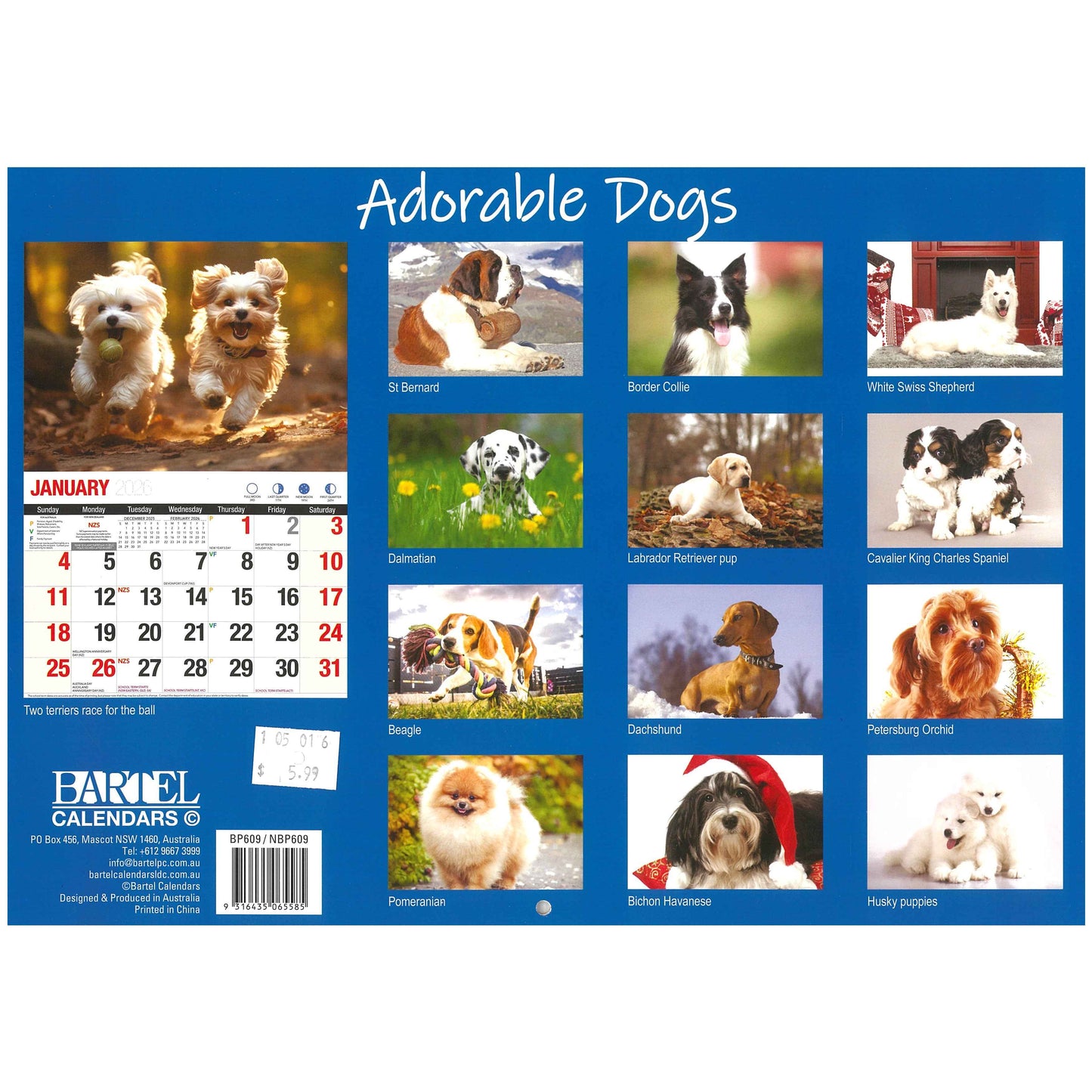 2026 Wall Calendar - Adorable Dogs