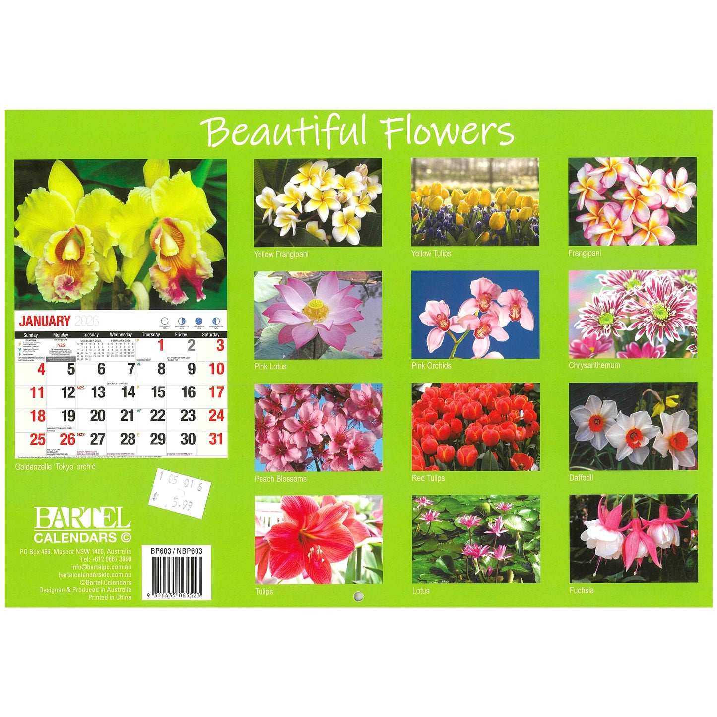 2026 Wall Calendar - Beautiful Flowers