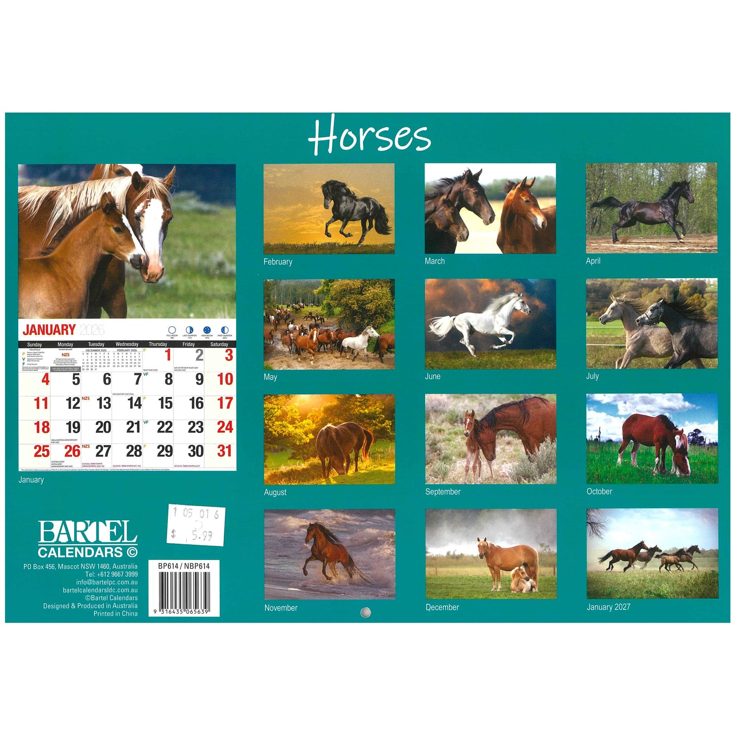 2026 Wall Calendar - Horses