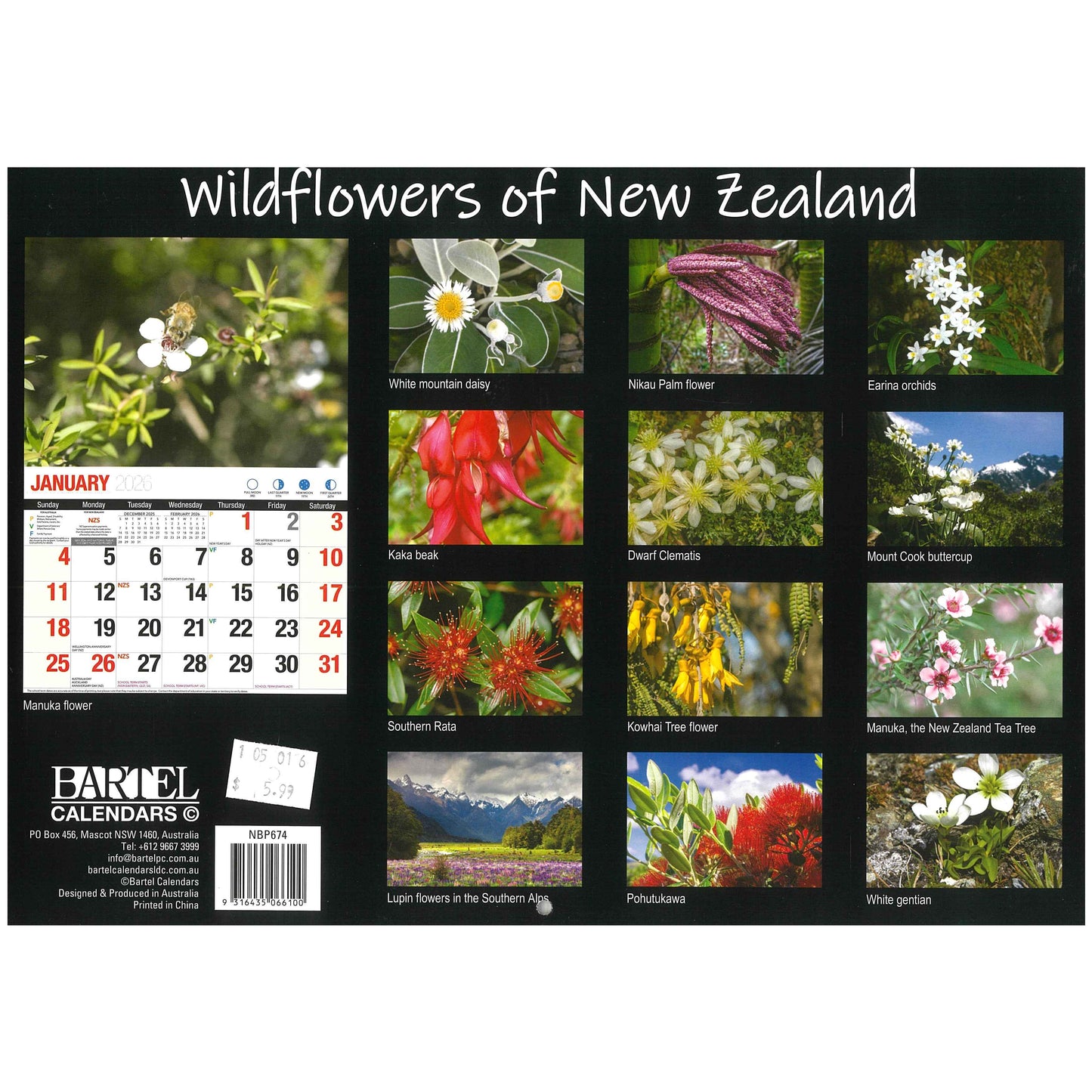 2026 Wall Calendar - Wildflowers Of New Zealand