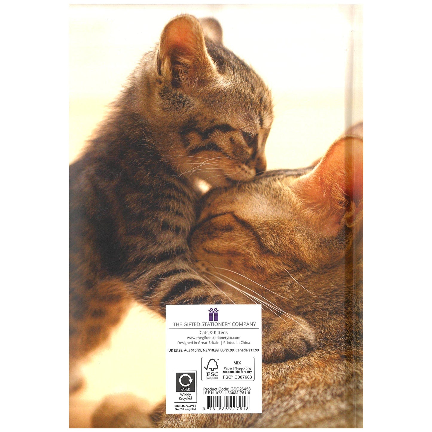 2026 A5 Diary Week to View - Cats & Kittens