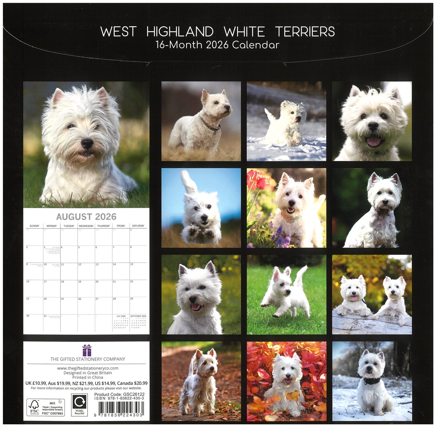 2026 Wall Calendar - West Highland White Terriers