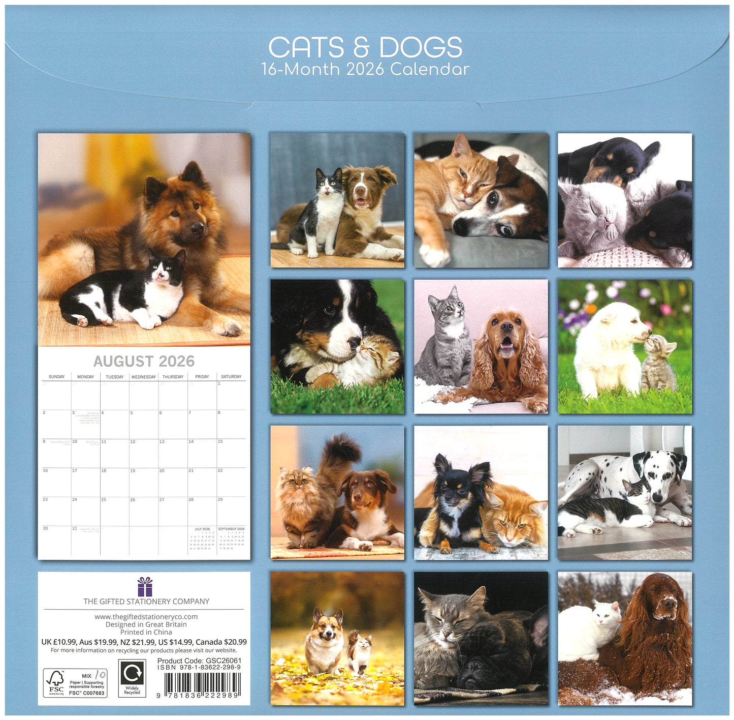 2026 Wall Calendar - Cats & Dogs