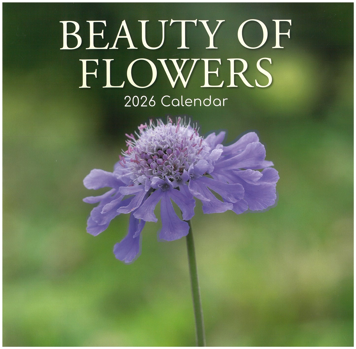 2026 Wall Calendar - Beauty Of Flowers