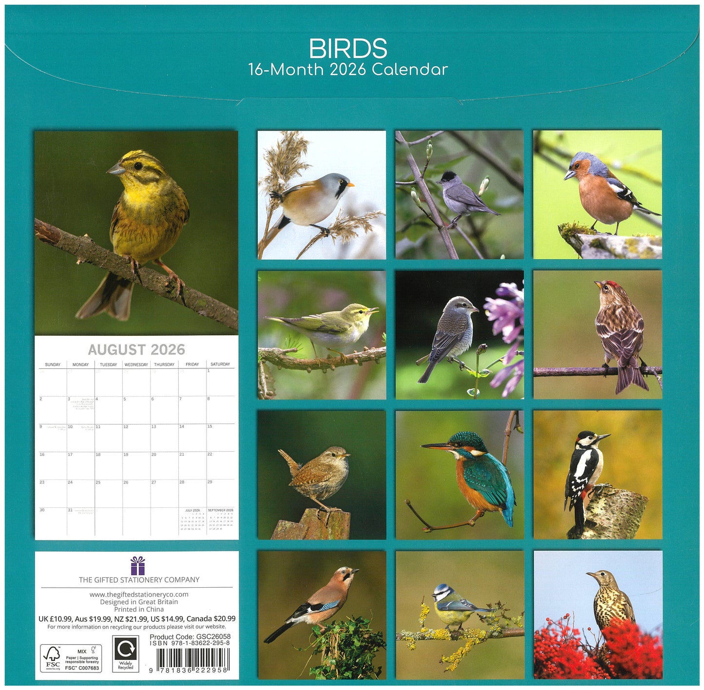 2026 Wall Calendar - Birds
