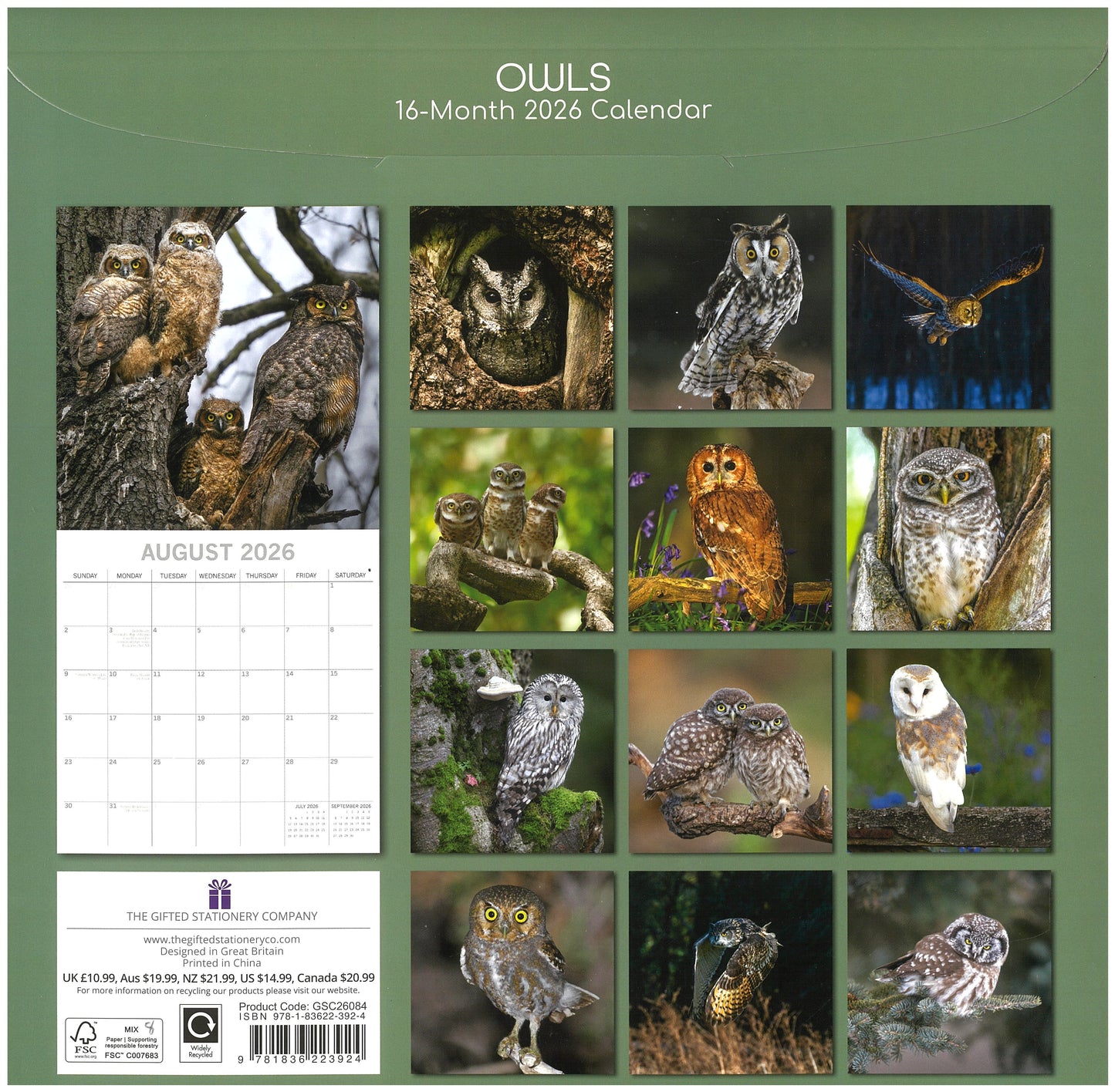 2026 Wall Calendar - Owls
