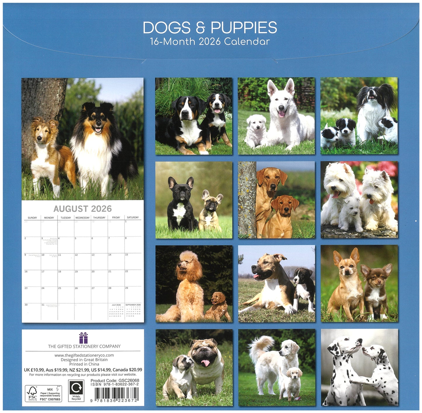 2026 Wall Calendar - Dogs & Puppies