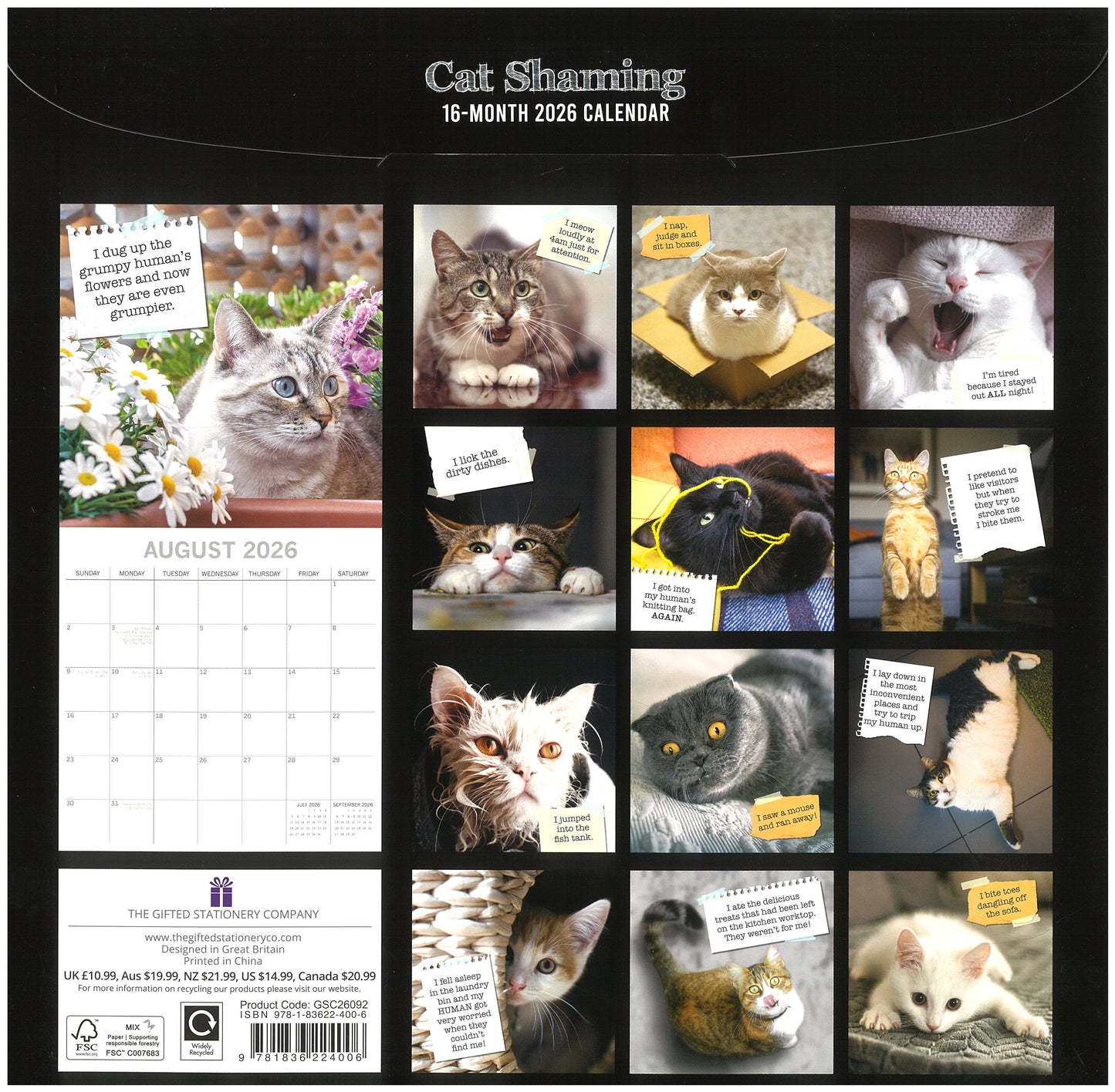 2026 Wall Calendar - Cat Shaming