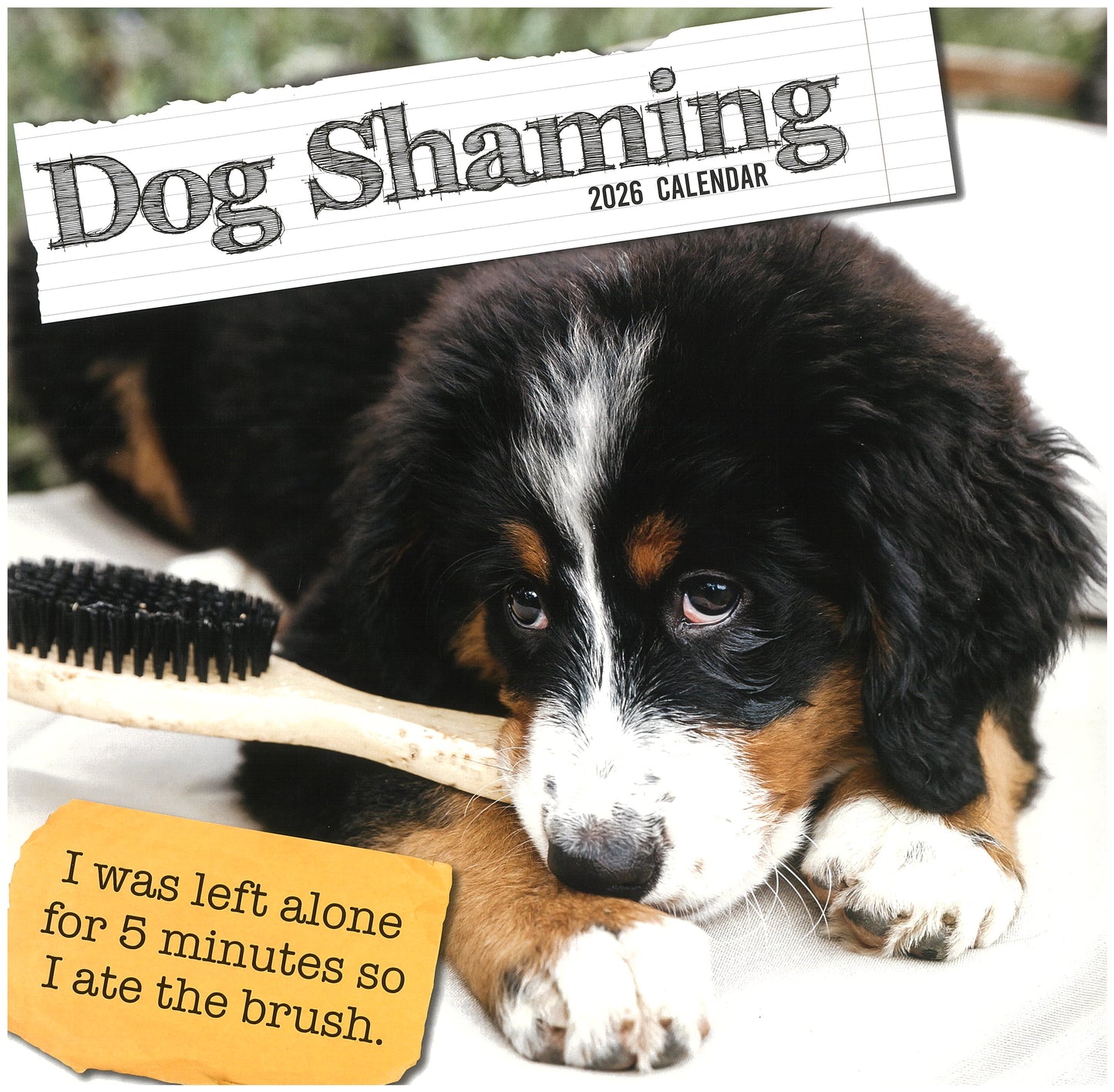 2026 Wall Calendar - Dog Shaming