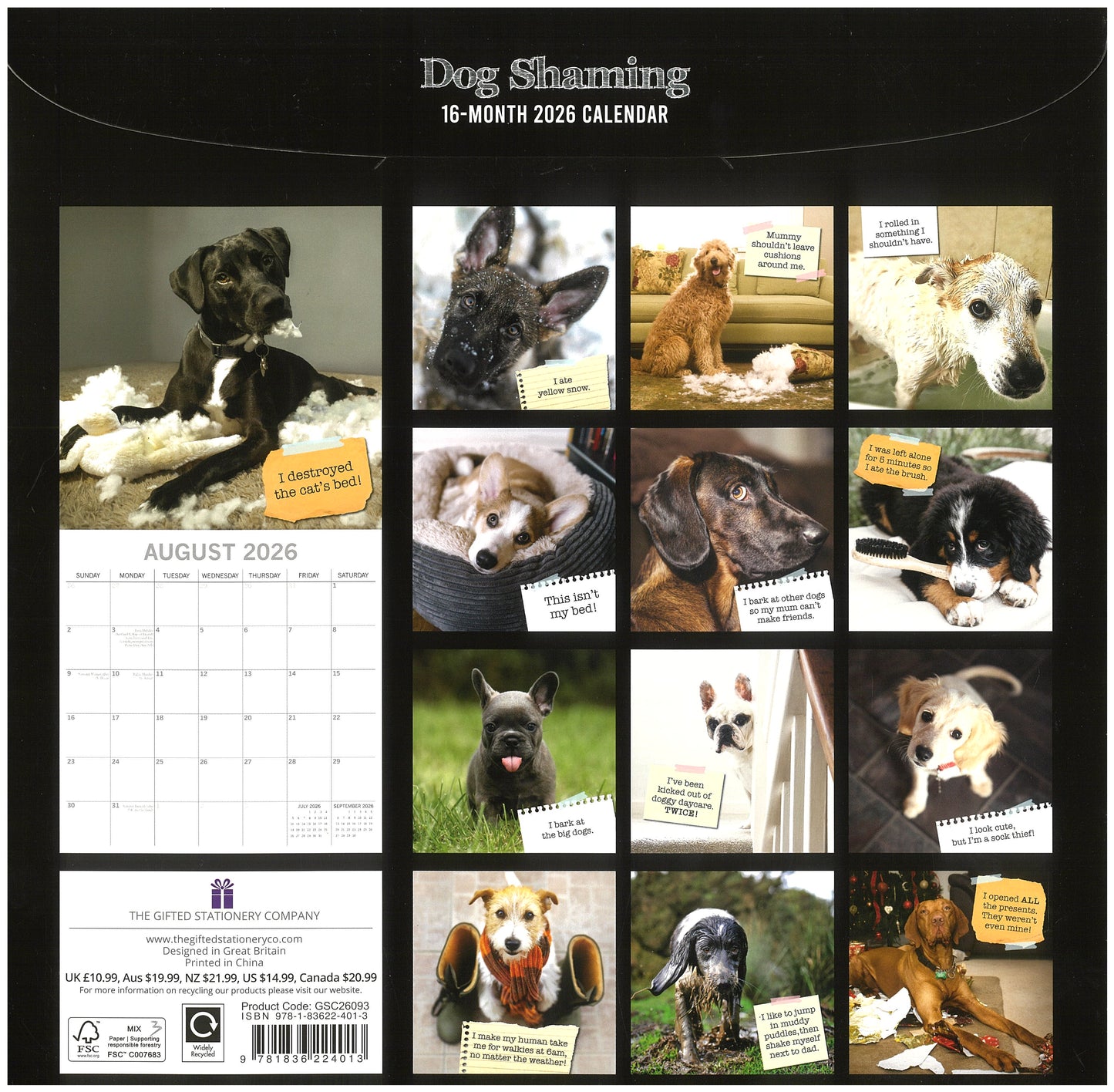 2026 Wall Calendar - Dog Shaming