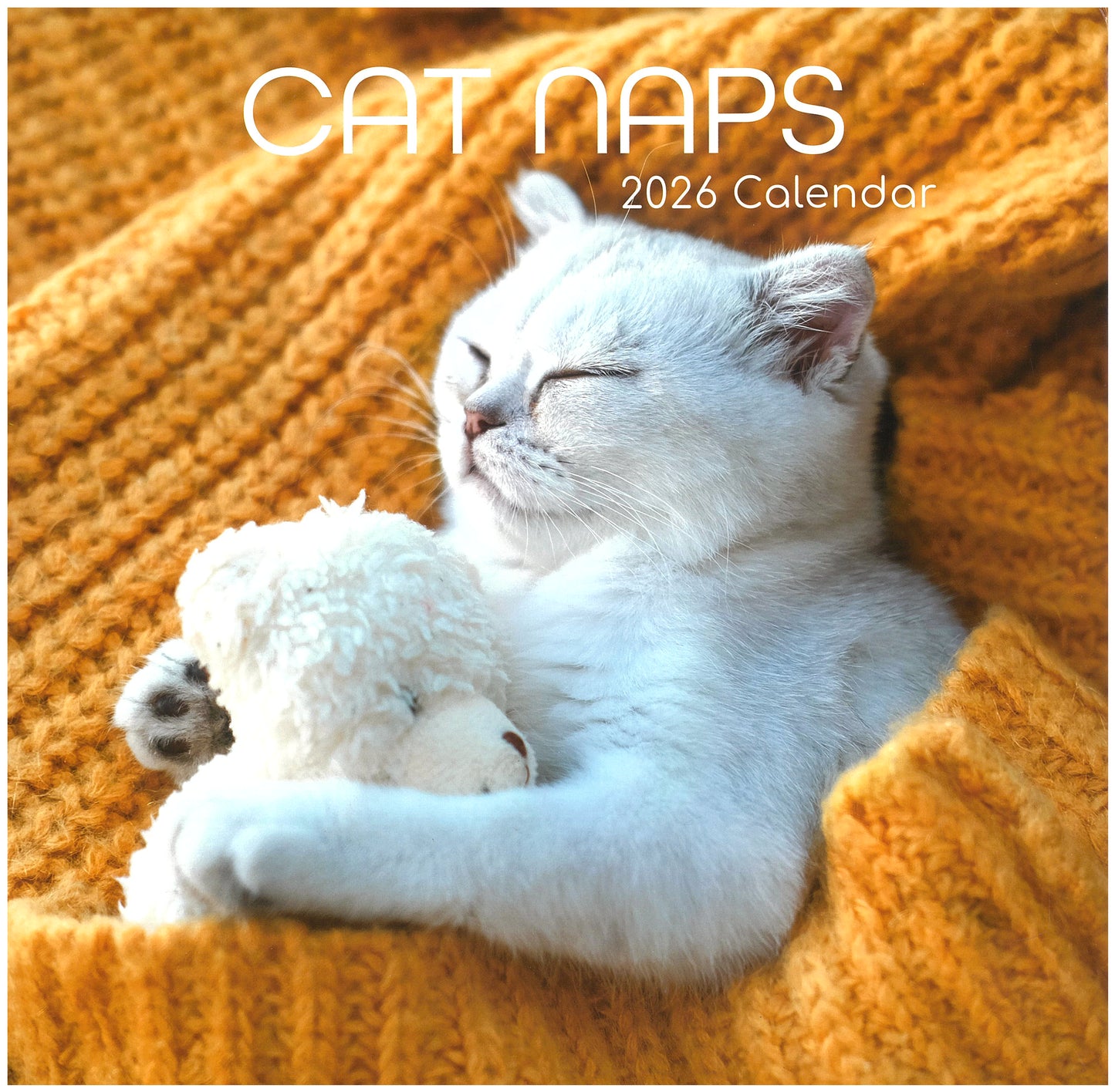 2026 Wall Calendar - Cat Naps