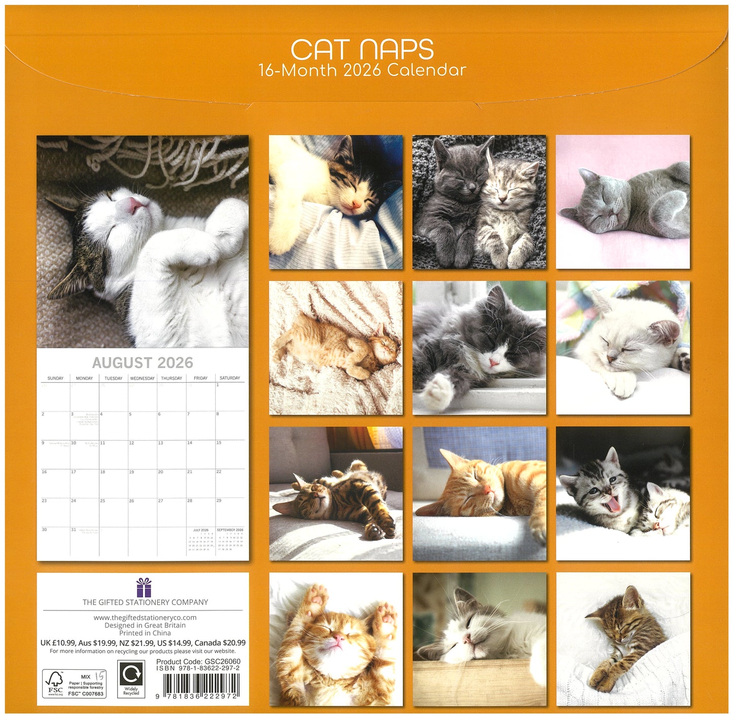 2026 Wall Calendar - Cat Naps