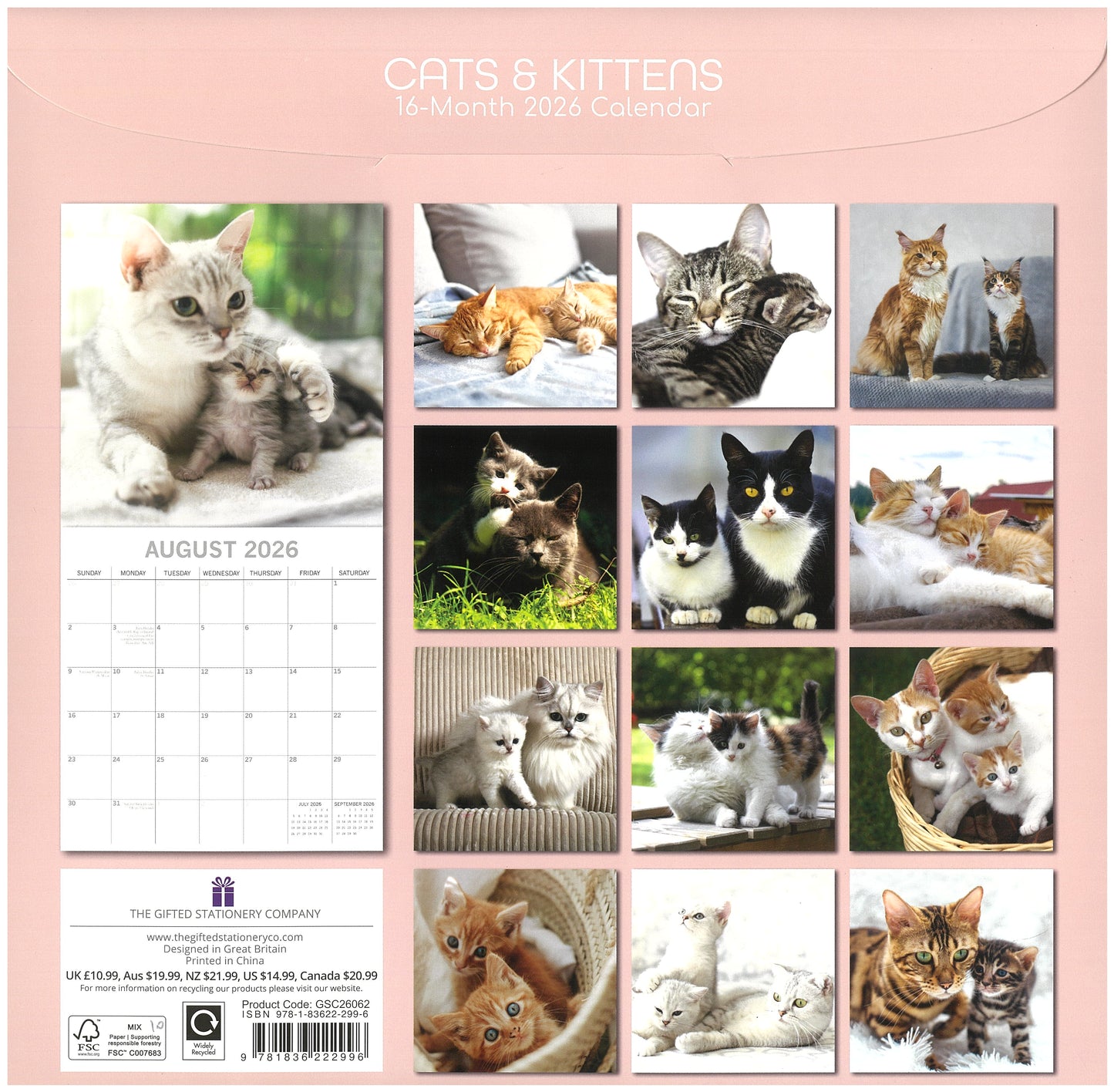2026 Wall Calendar - Cats & Kittens