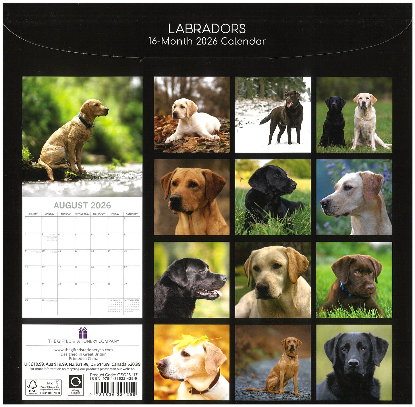 2026 Wall Calendar - Labradors