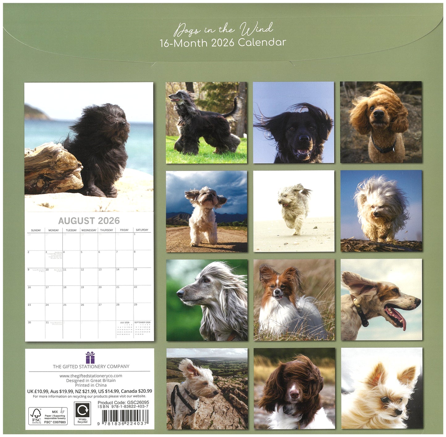 2026 Wall Calendar - Dogs In The Wind