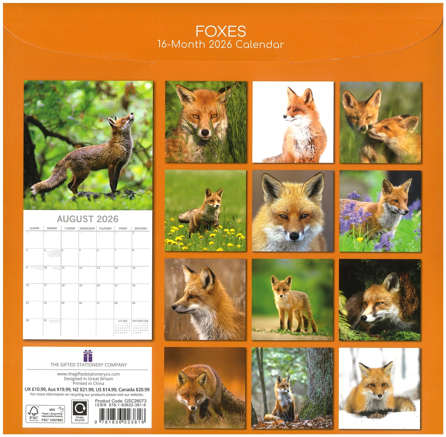 2026 Wall Calendar - Foxes