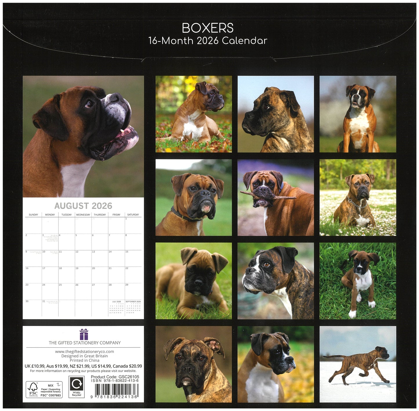 2026 Wall Calendar - Boxers