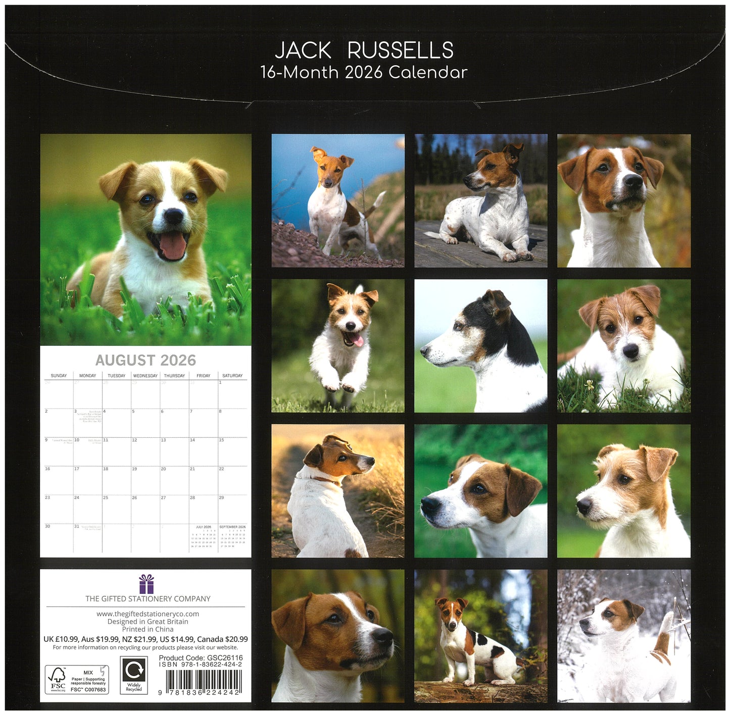 2026 Wall Calendar - Jack Russells