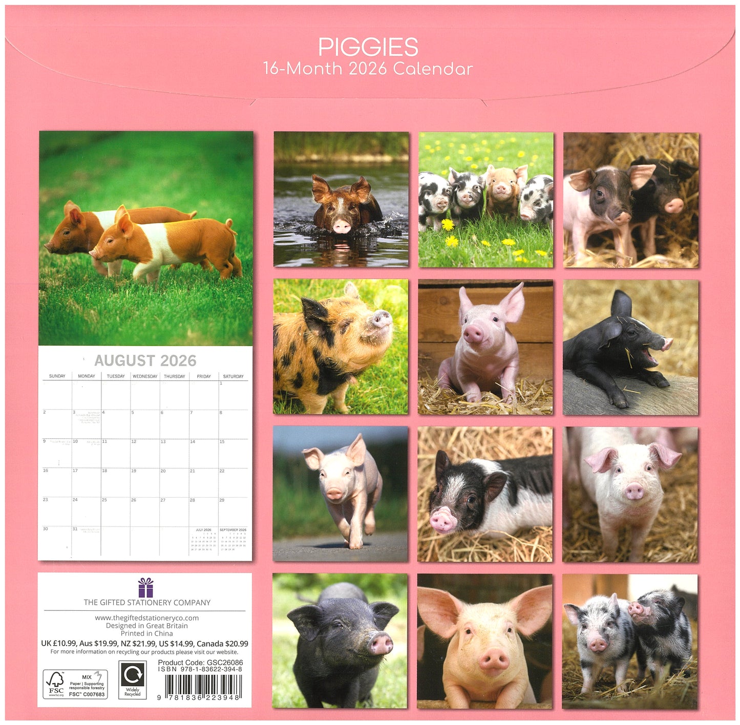 2026 Wall Calendar - Piggies