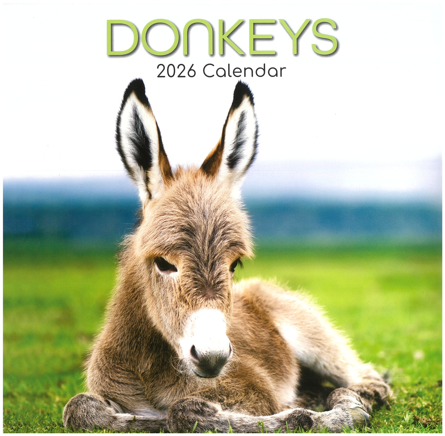 2026 Wall Calendar - Donkeys
