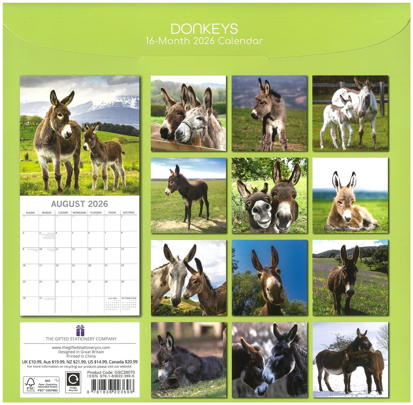2026 Wall Calendar - Donkeys