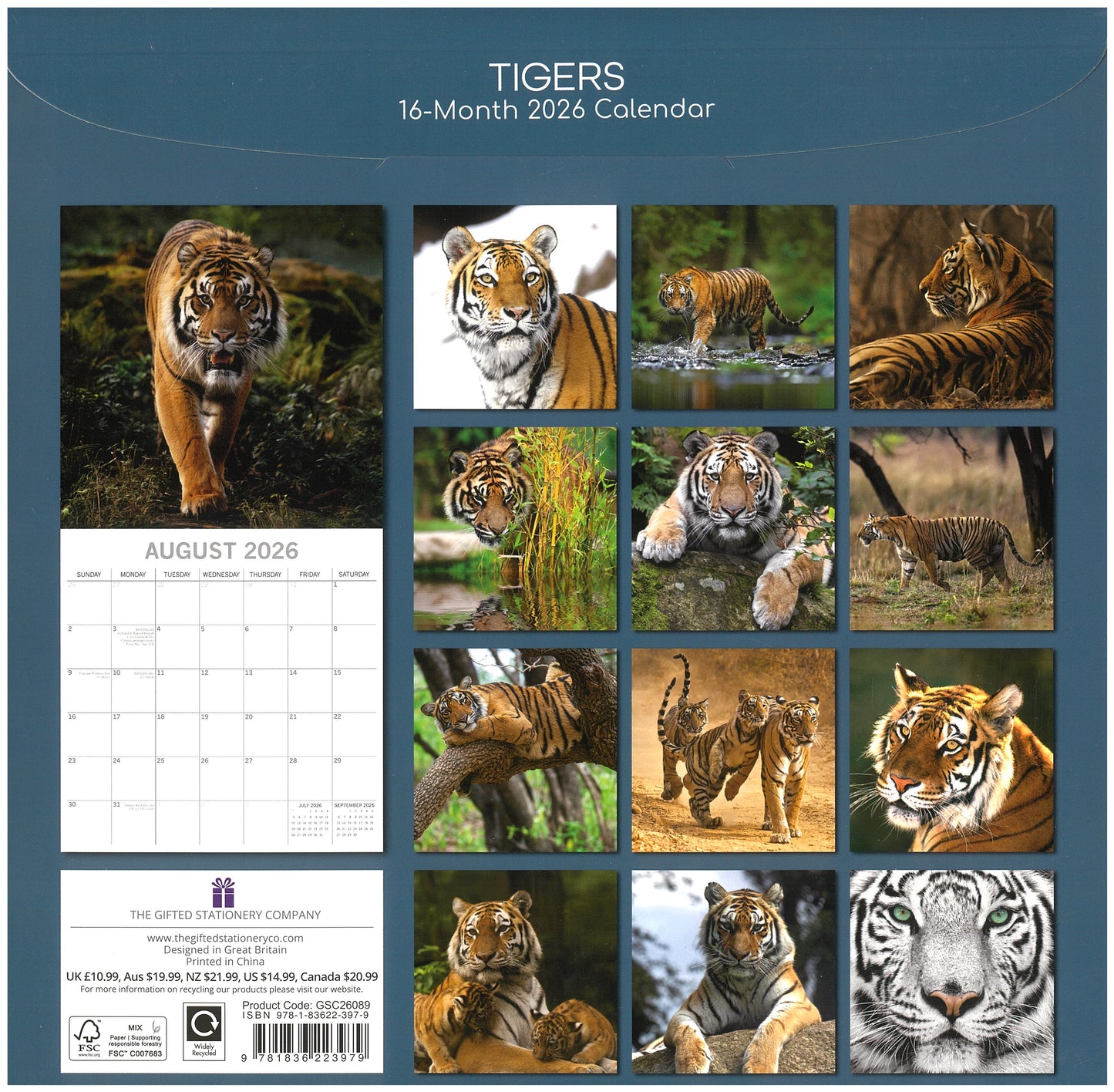 2026 Wall Calendar - Tigers