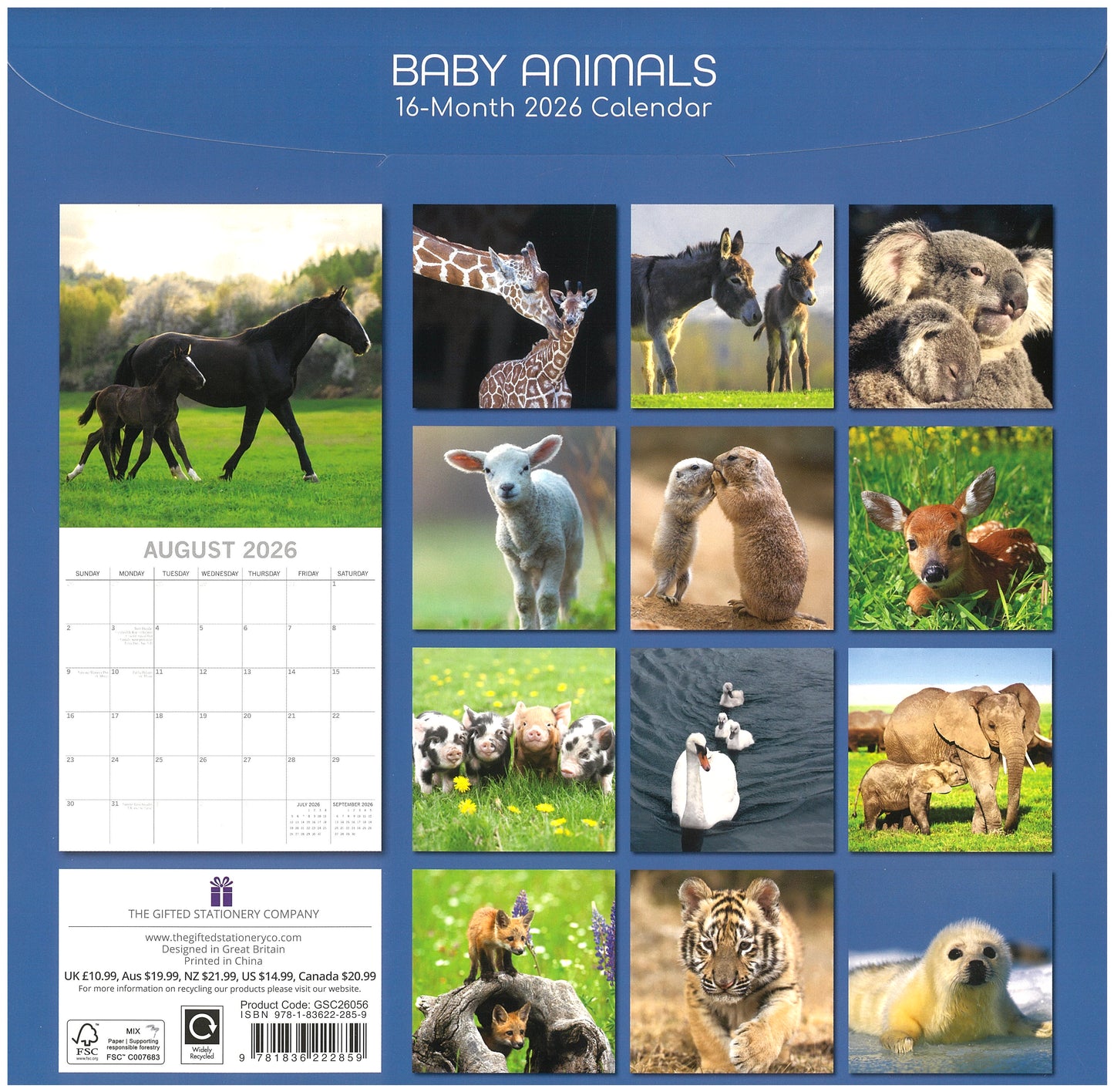 2026 Wall Calendar - Baby Animals