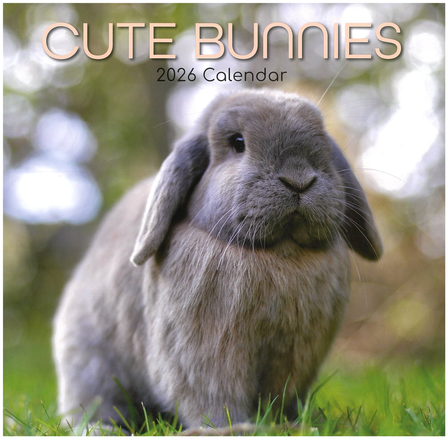 2026 Wall Calendar - Cute Bunnies
