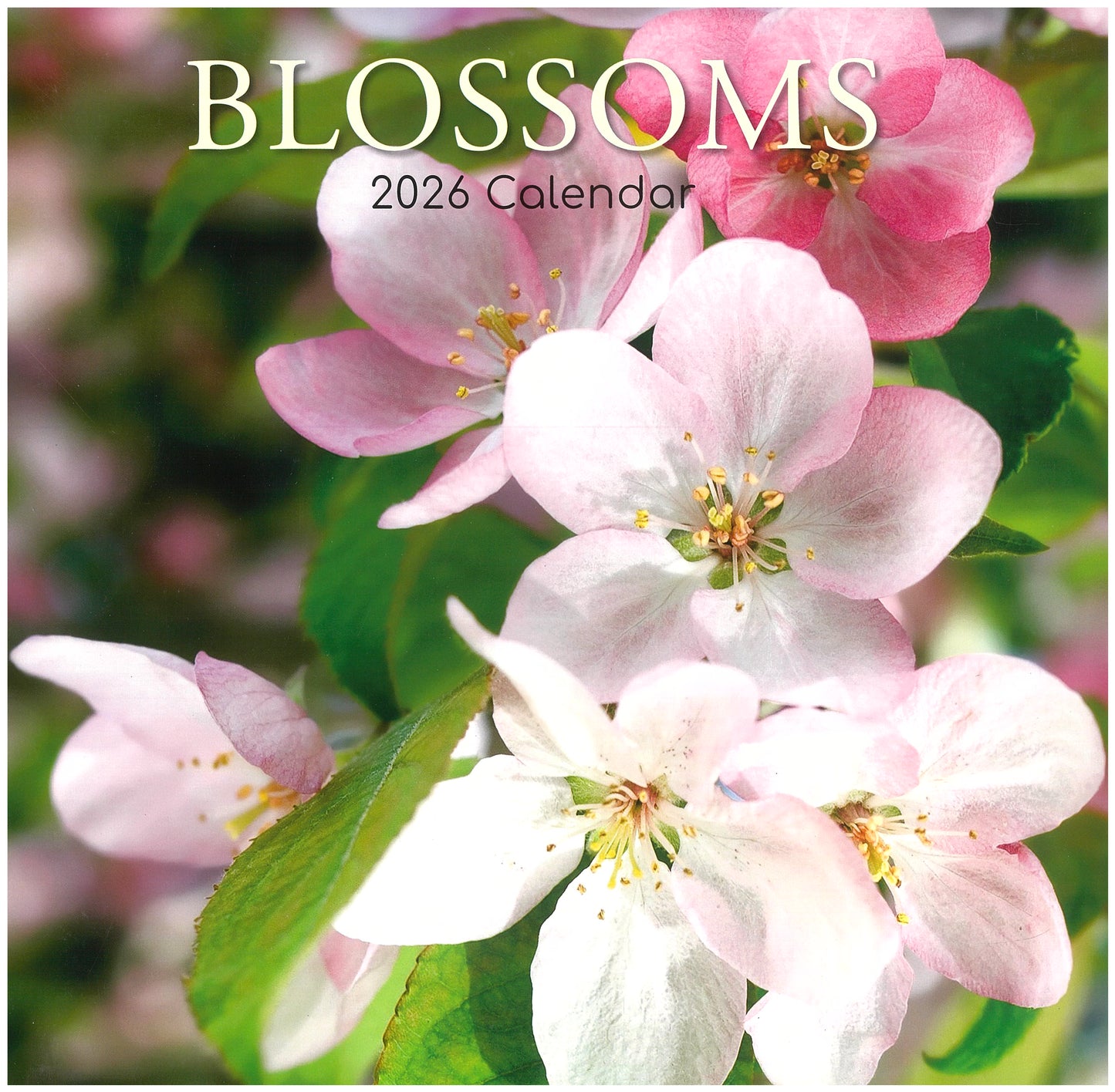 2026 Wall Calendar - Blossoms