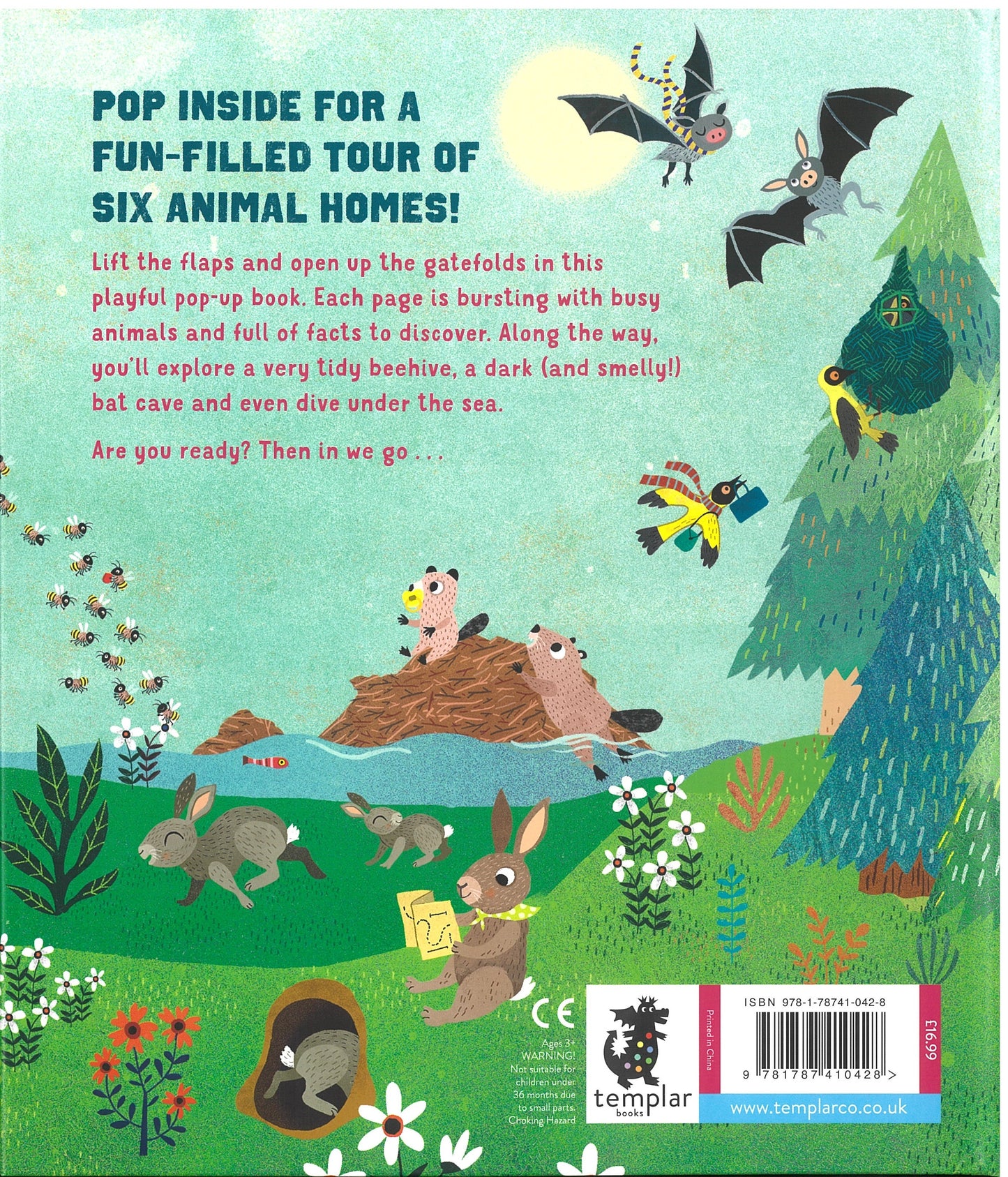Pop Inside: Animal Homes