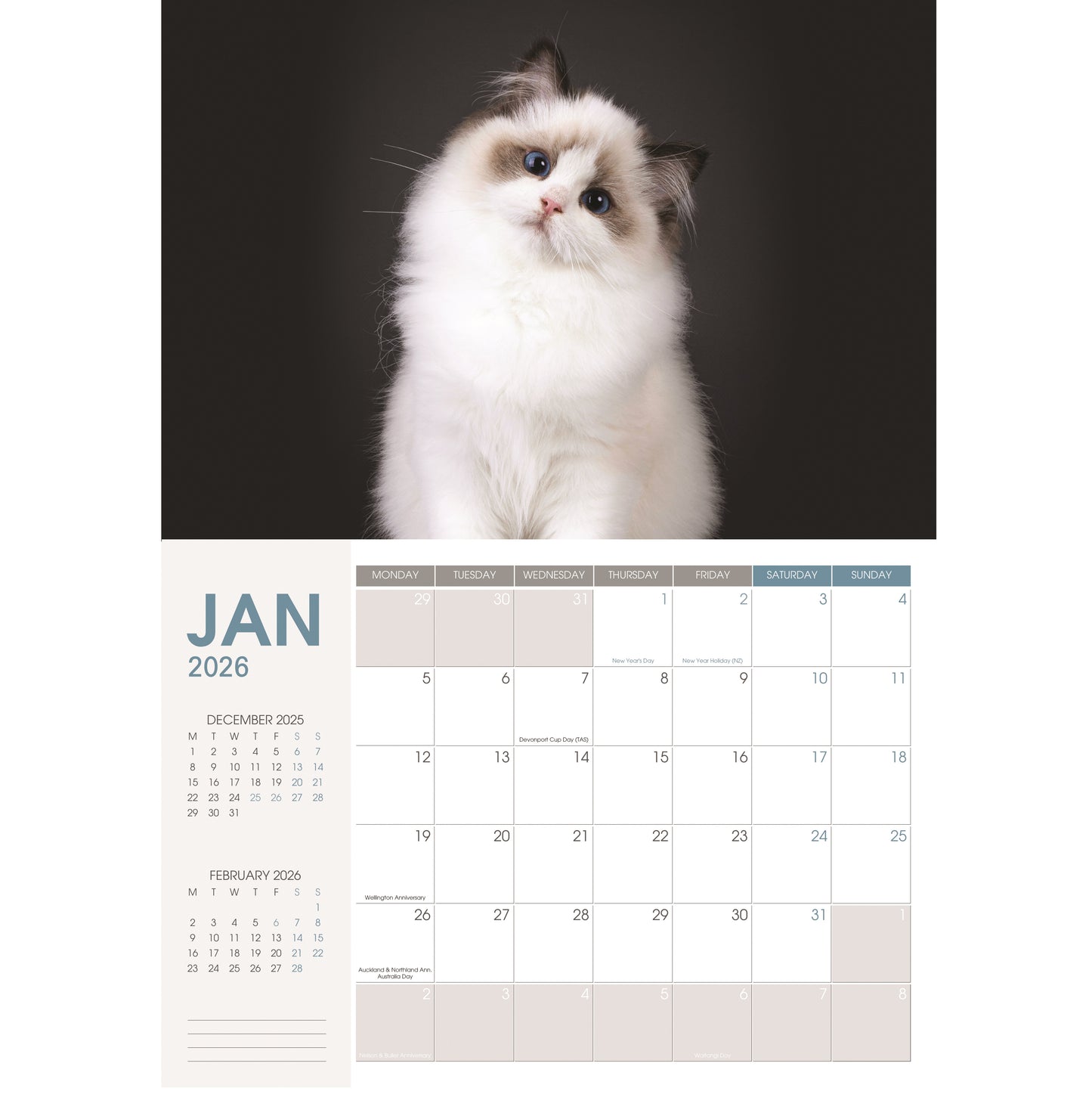 2026 Wall Calendar Cats & Dogs