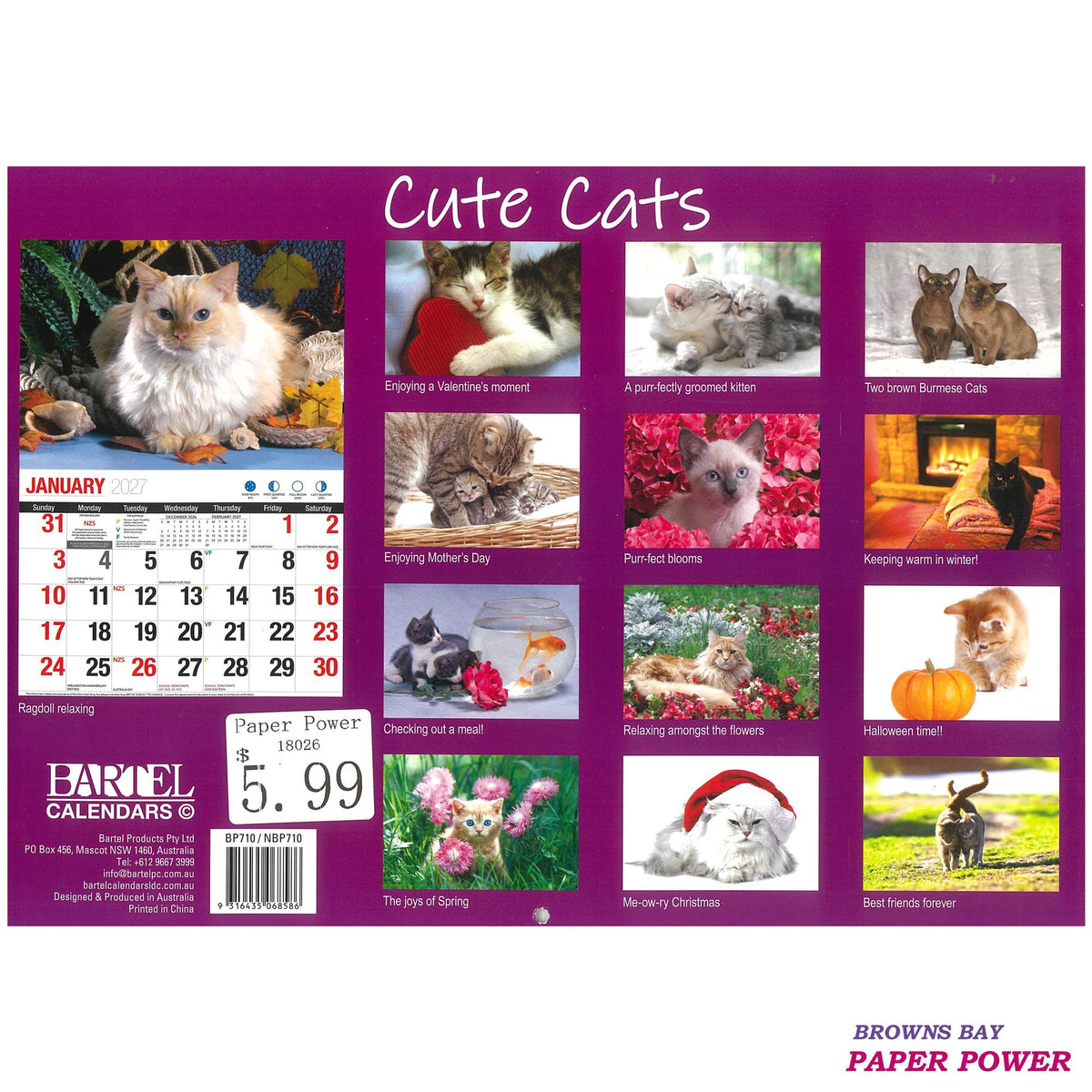 2027 Wall Calendar - Cute Cats