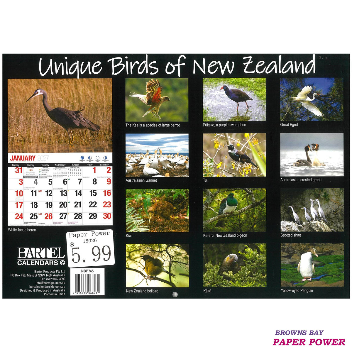 2027 Wall Calendar - Unique Birds Of New Zealand