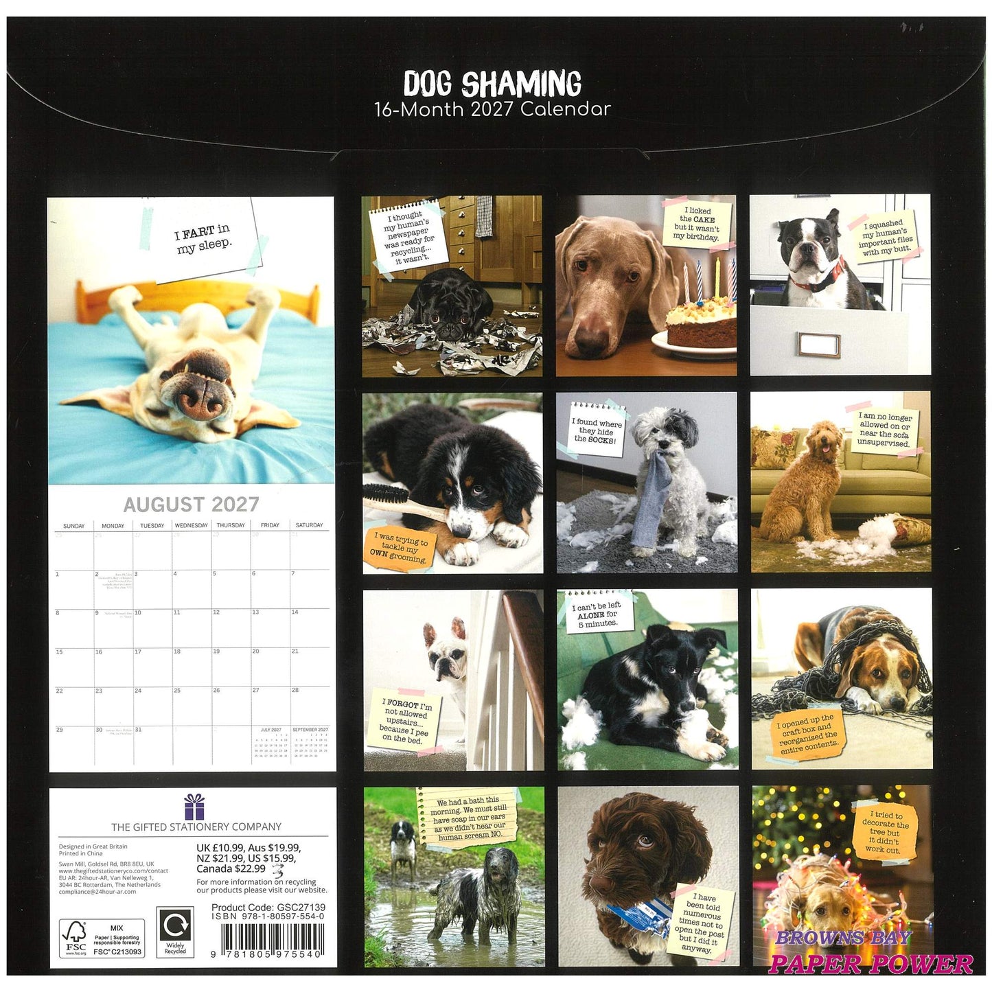 2027 Wall Calendar - Dog Shaming