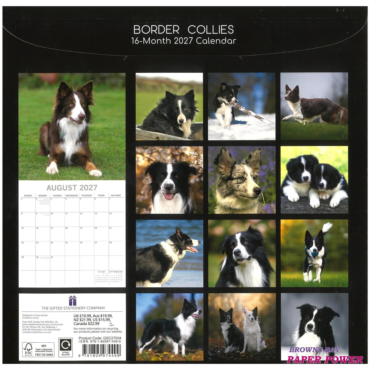 2027 Wall Calendar - Border Collies