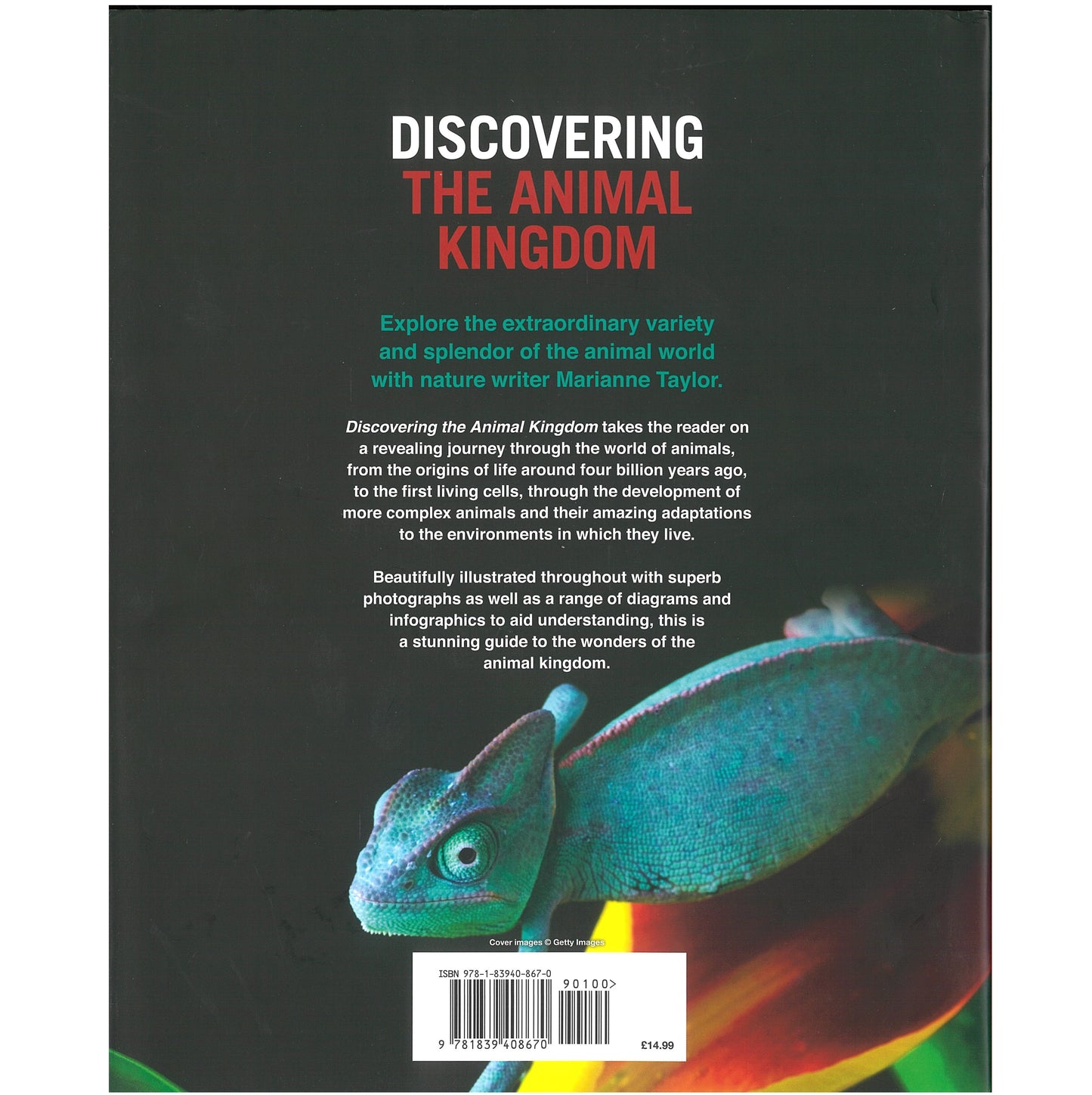 Discovering The Animal Kingdom