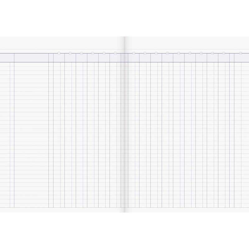 Milford A4 16 Money Column 26 Leaf Limp Analysis Book