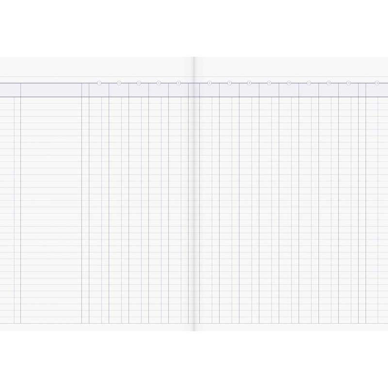 Milford A4 14 Money Column 26 Leaf Limp Analysis Book