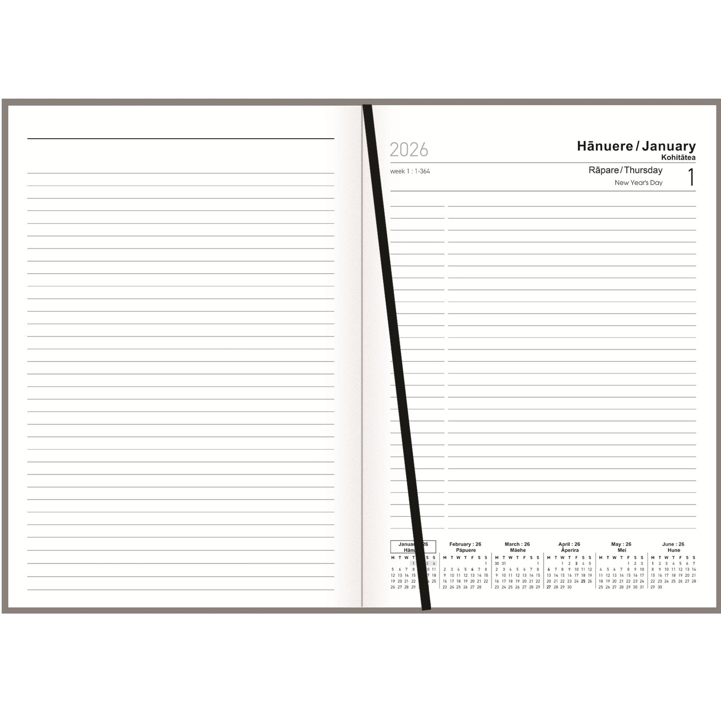 Collins A51 Diary - NZ Birds