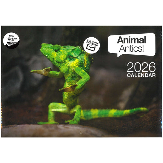 2026 Wall Calendar New Zealand Animal Antics