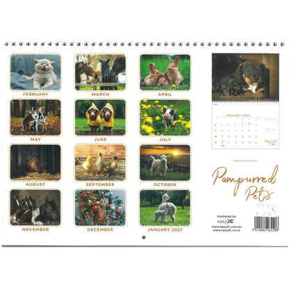 2026 Wall Calendar New Zealand Pampurred Pets