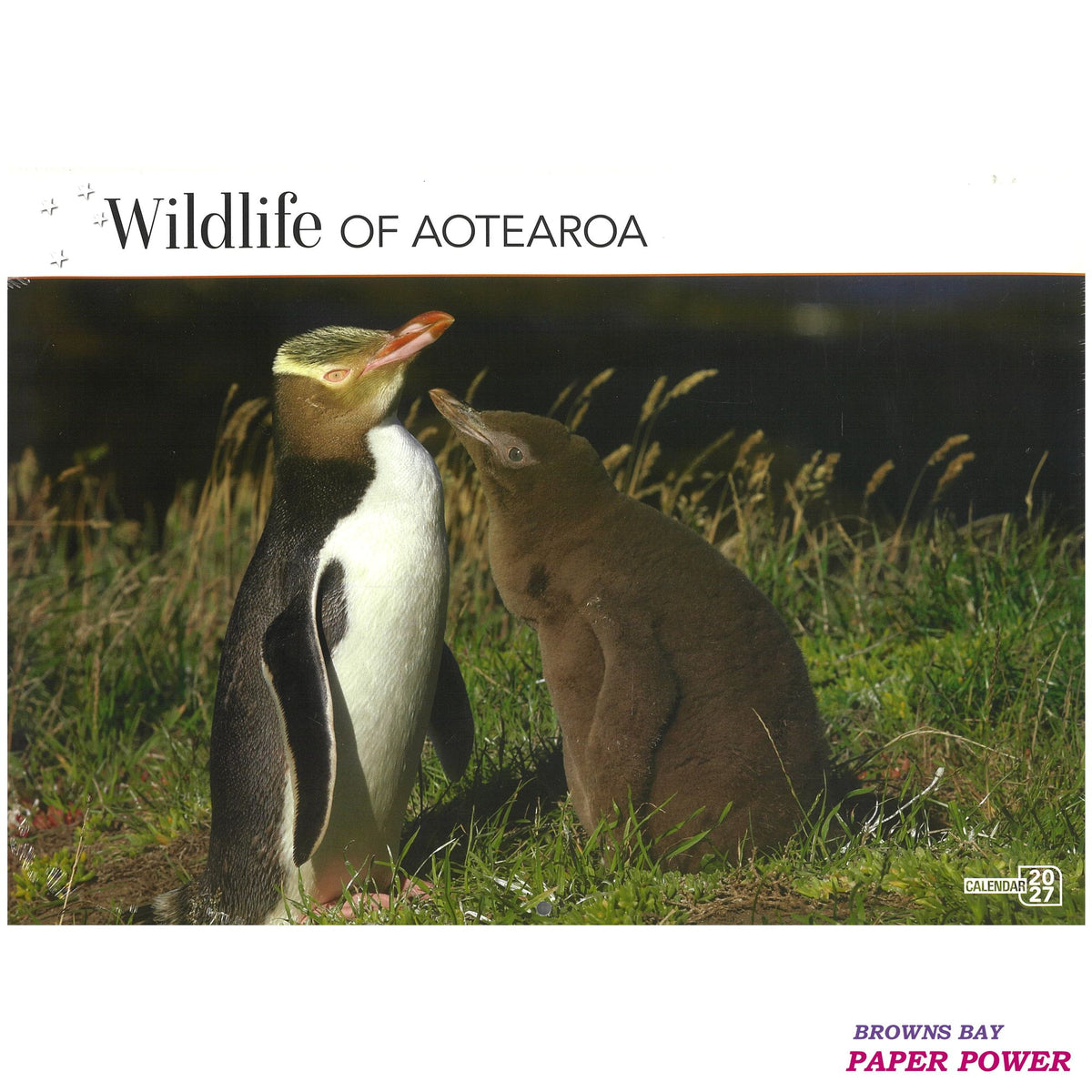2027 Wall Calendar - Wildlife Of Aotearoa