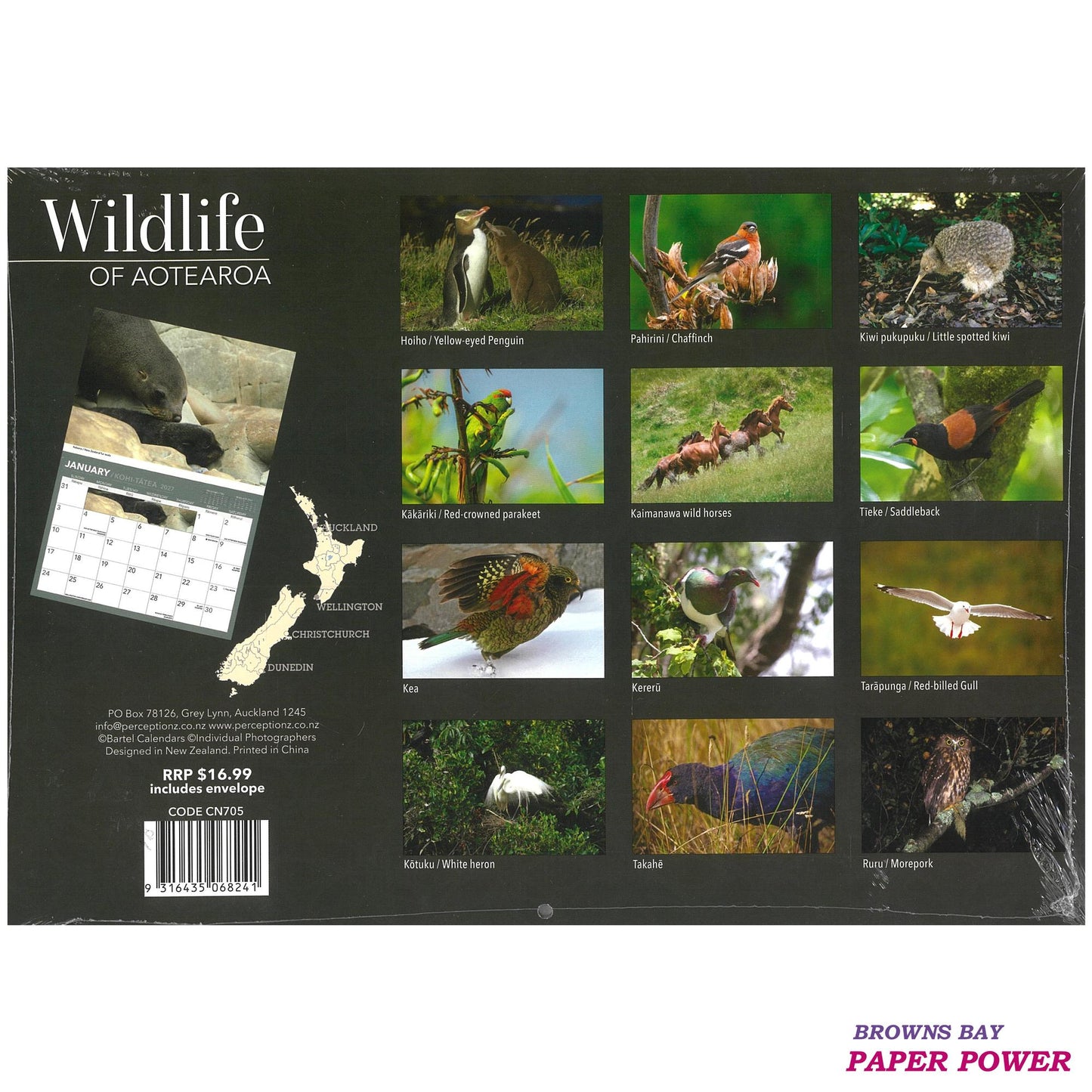 2027 Wall Calendar - Wildlife Of Aotearoa